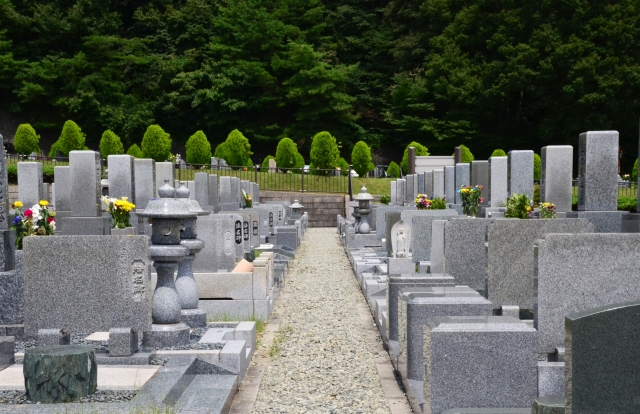 ,奈良,行政書士,女性,王寺.若林かずみ、